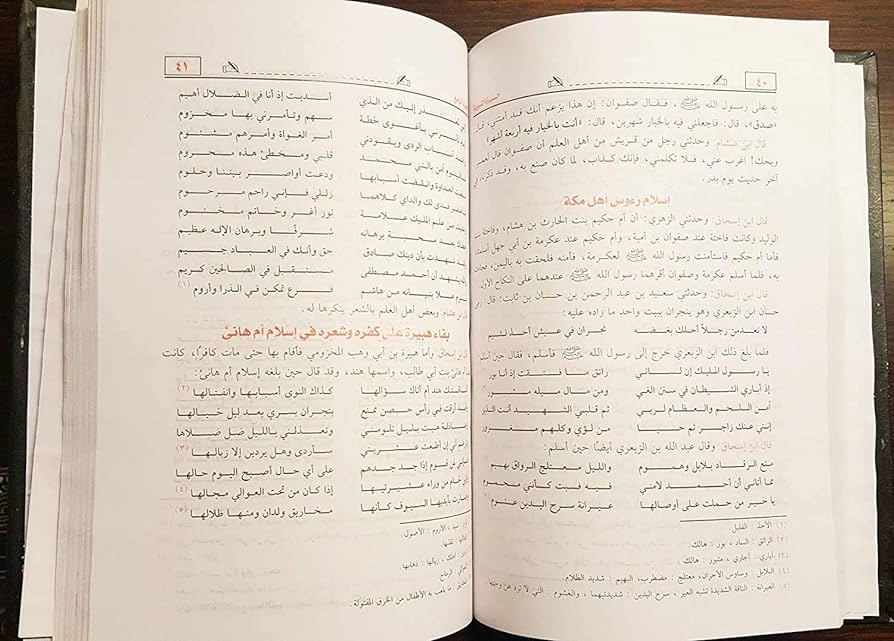 السيرة النبوية لابن هشام
