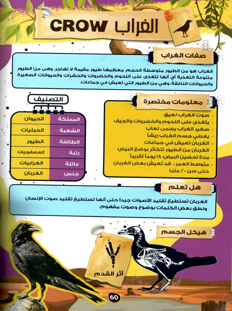 الموسوعة العلمية للأطفال قصص الحيوان في القران الكريم